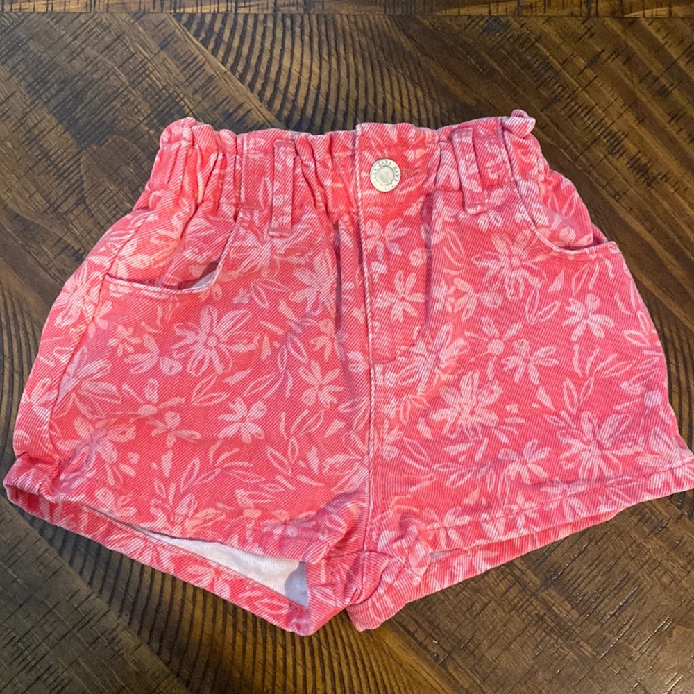 Zara shorts